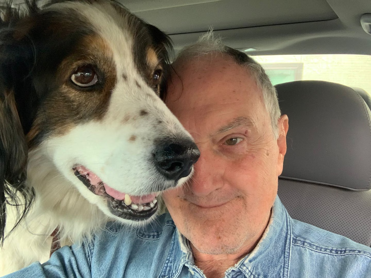 man and dog in car