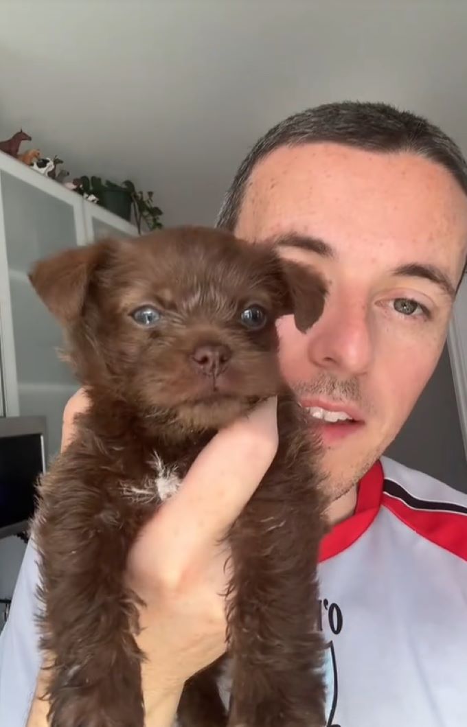 man and tiny brown puppy