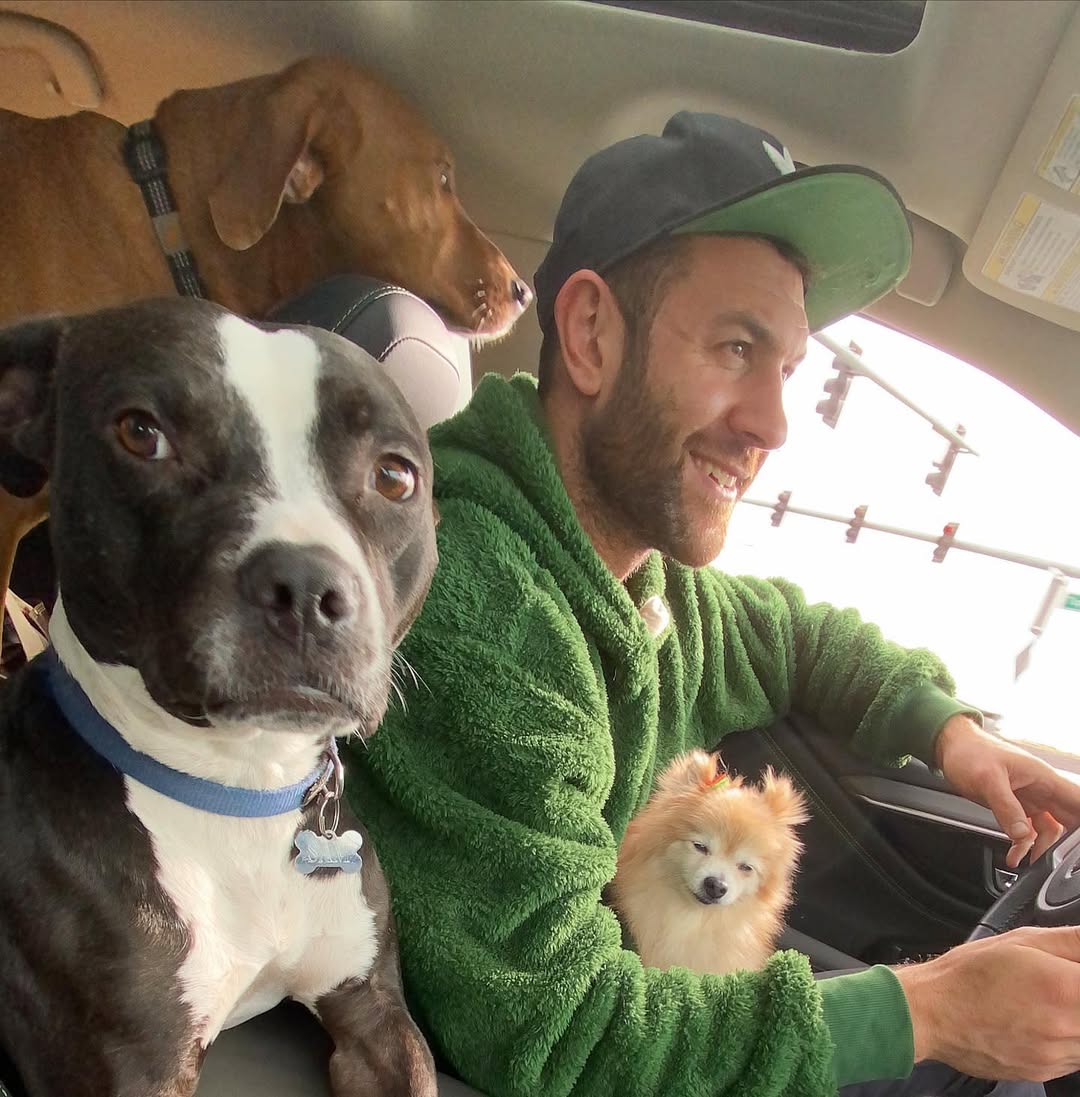 man and two dogs in car