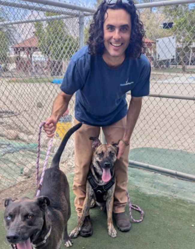 man and two dogs