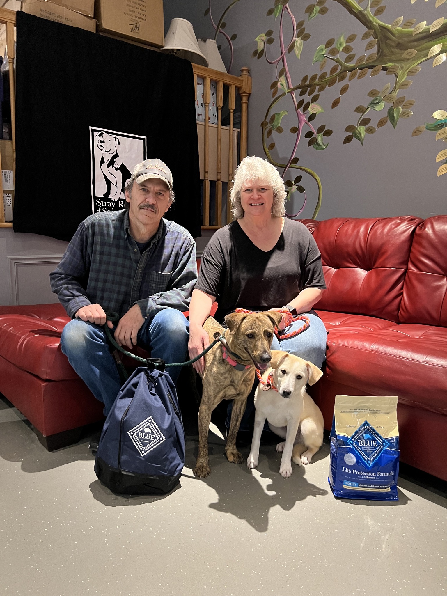 man and woman with two dogs