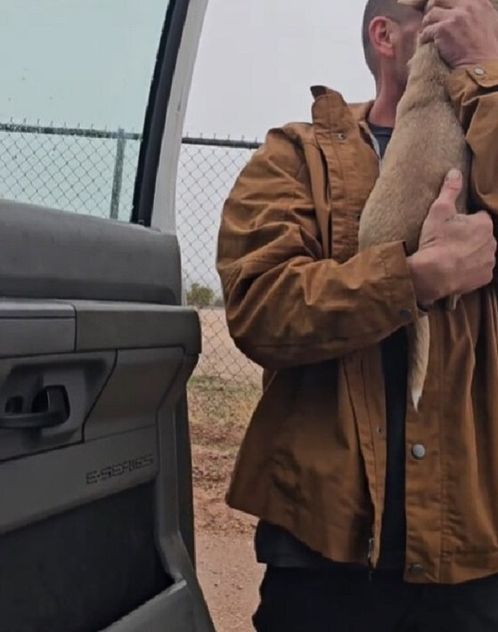 man carrying a dog