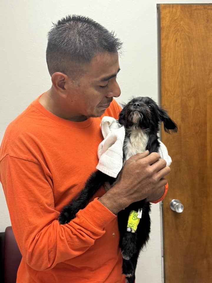 man holding a black puppy