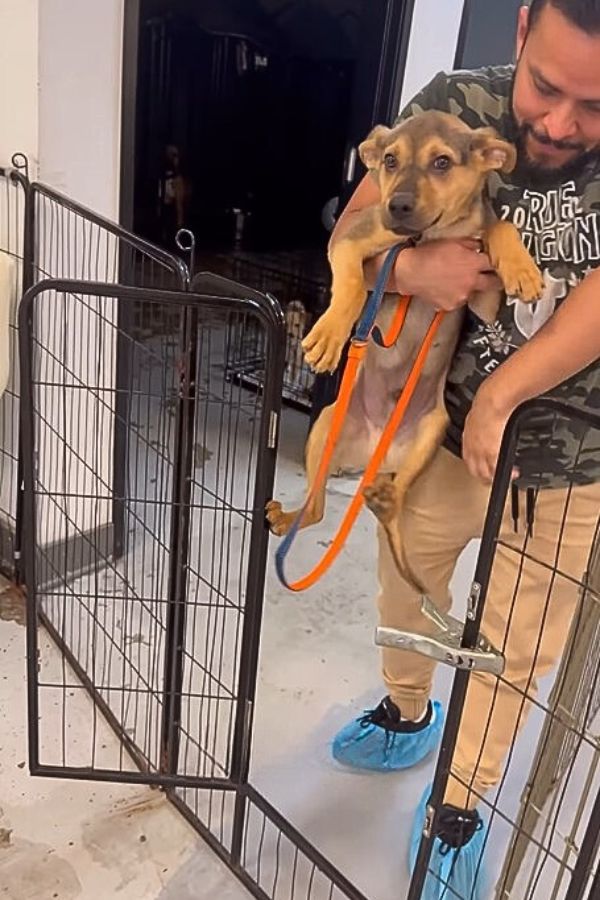 man holding a dog