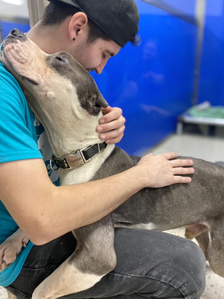 man in blue and a dog 