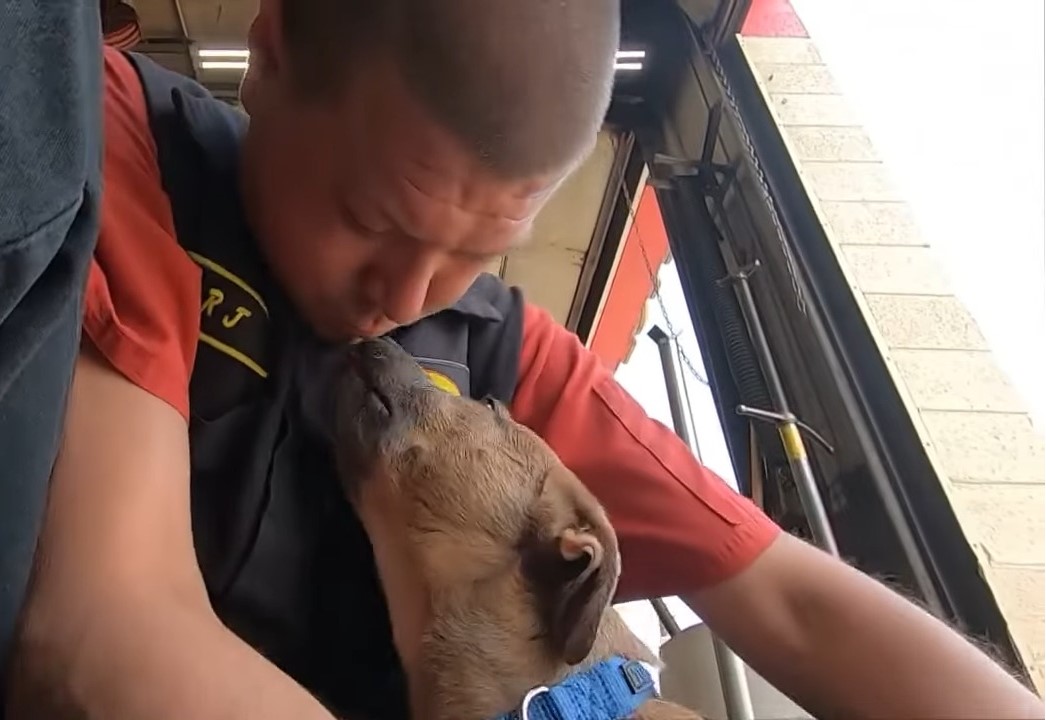 man kissing a dog