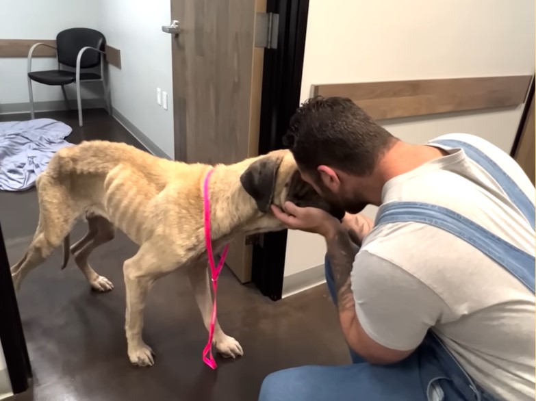 man kissing a skinny dog