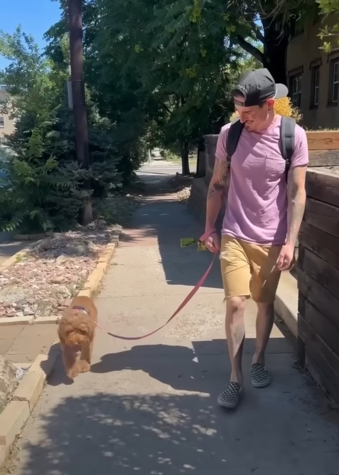 man walking a brown dog