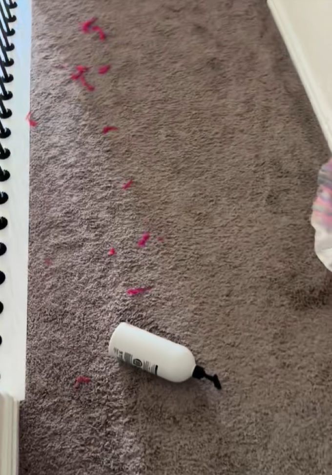 mess in the house 