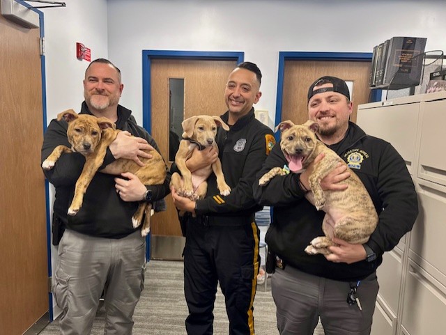 officers holding a puppies