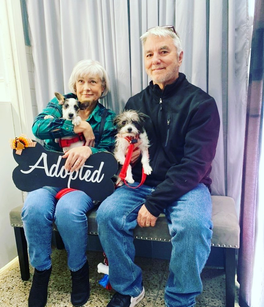 old couple and two dogs