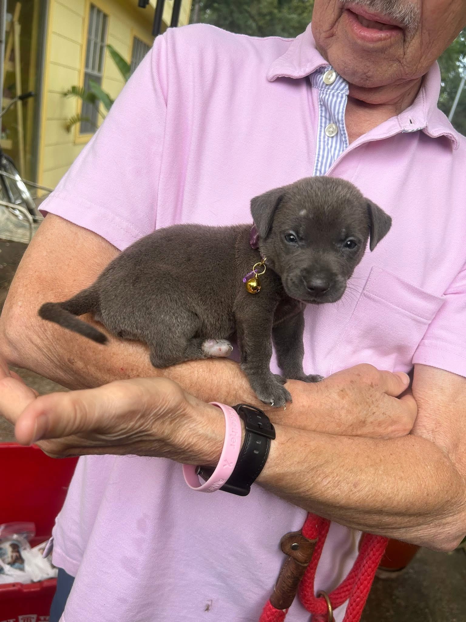 old man holding a puppy