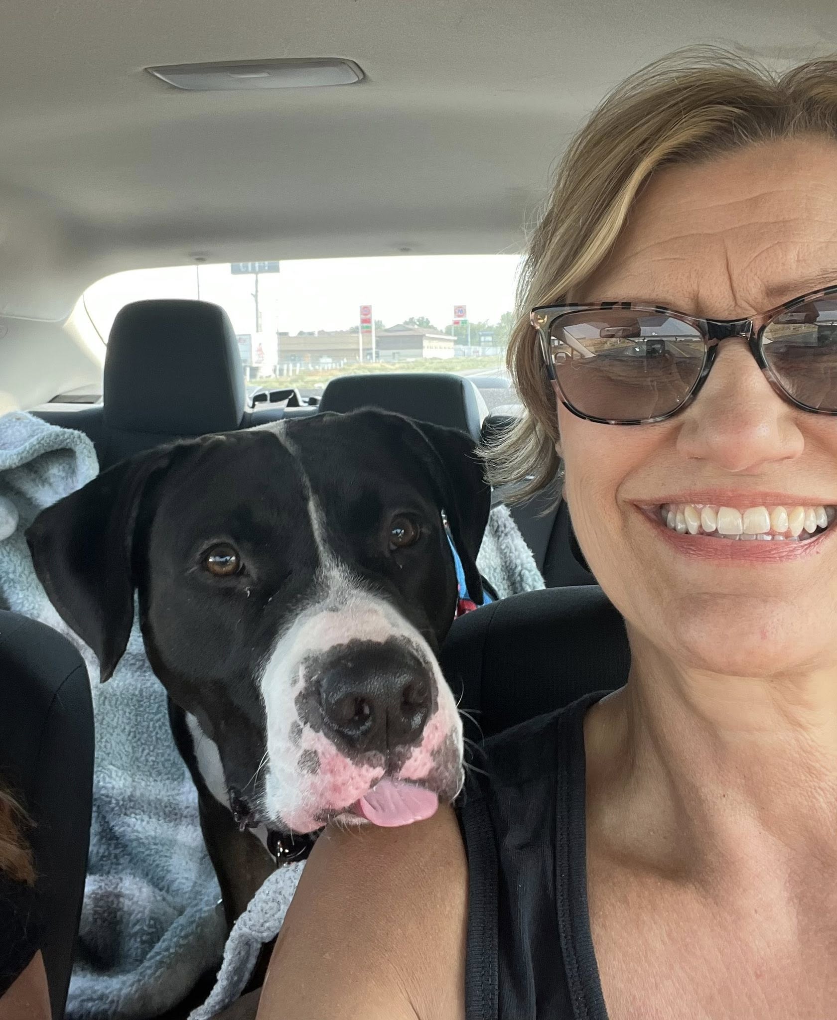 old woman and dog in car