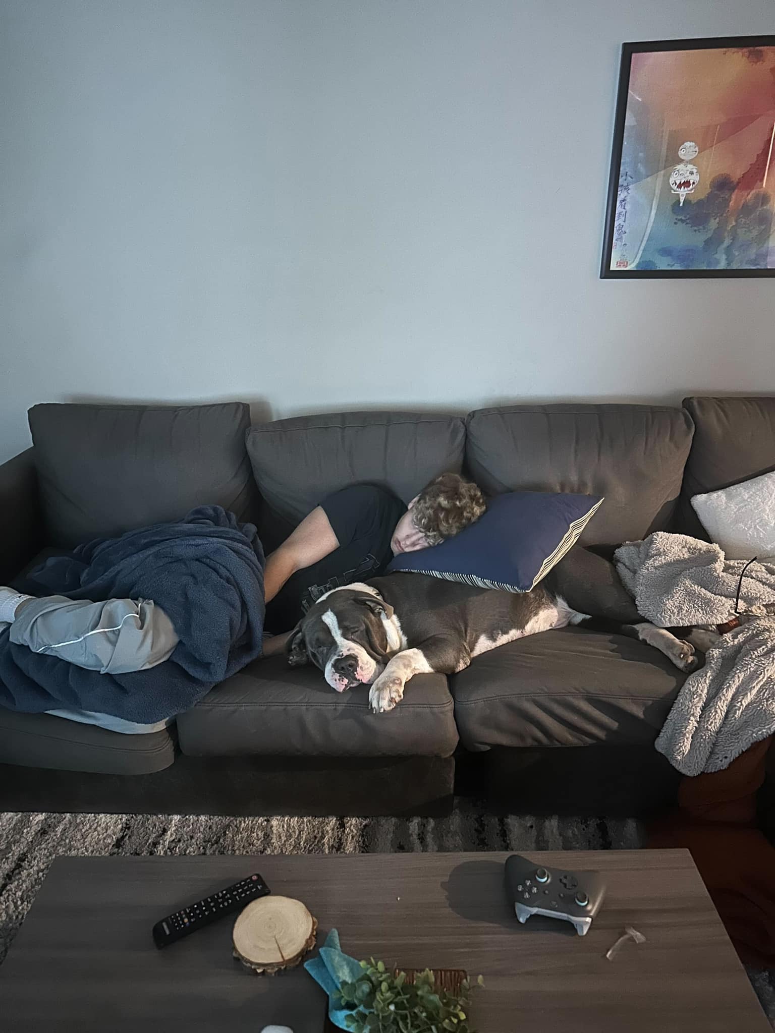 owner laying on dog