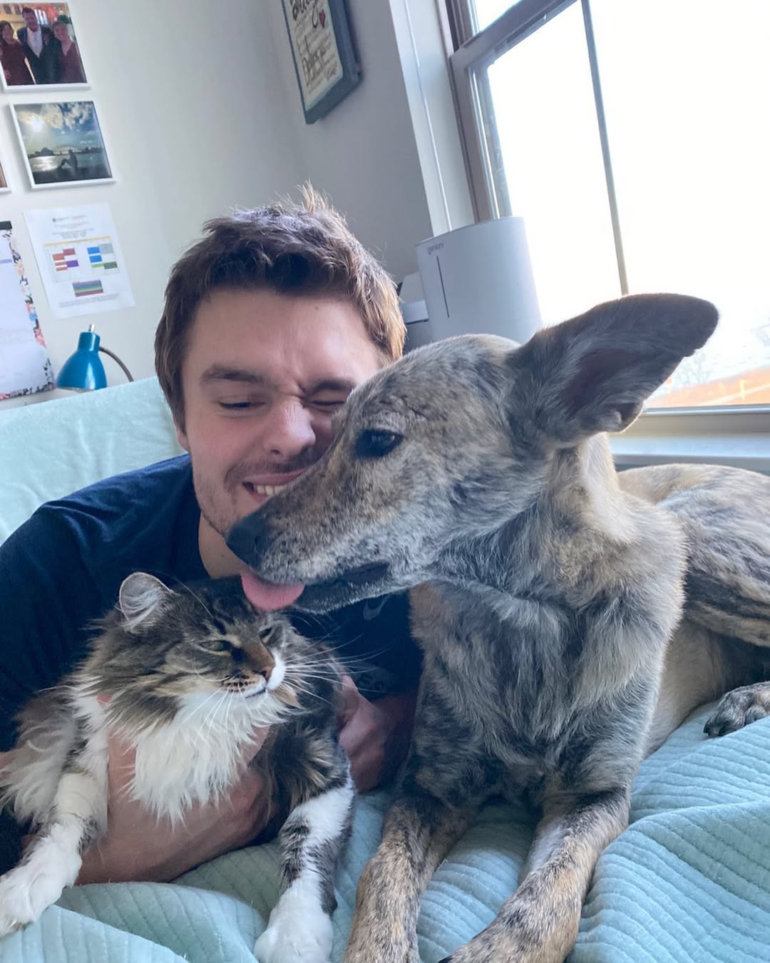 owner with cat and dog