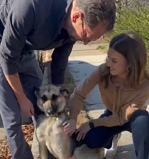 people helping dog