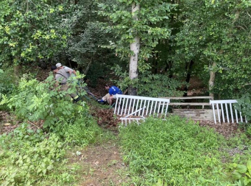 people rescuing dog in the woods