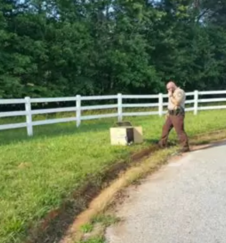 police officer finds a box