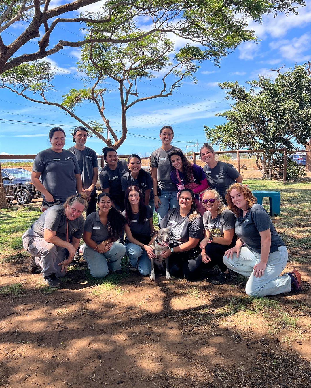 pup with shelter workers 