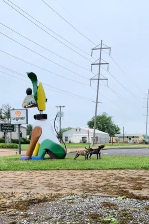 puppies next to sign 