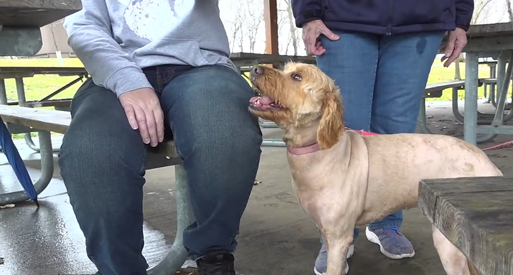 puppy next to two persons 