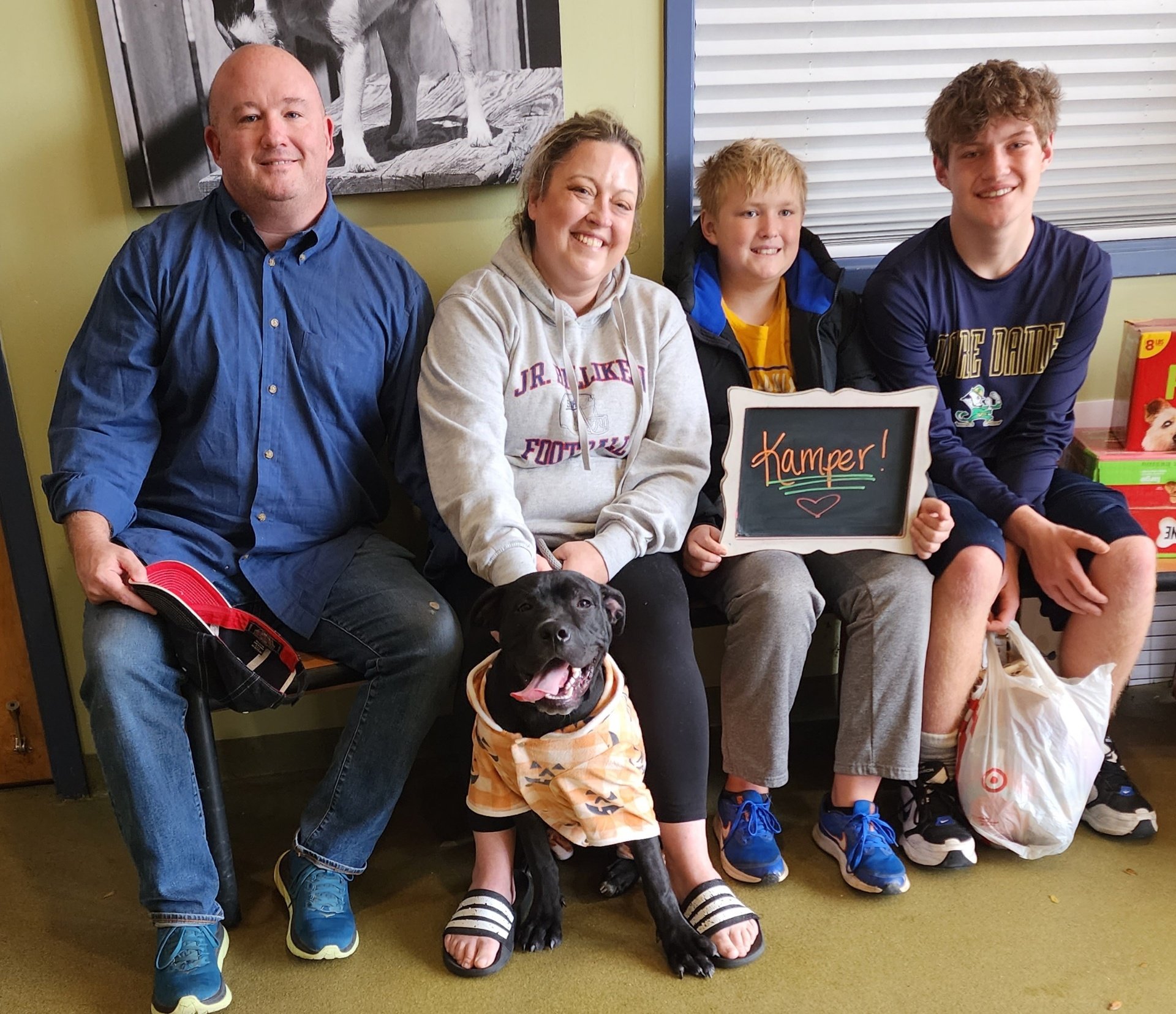 rescue dog with a new family