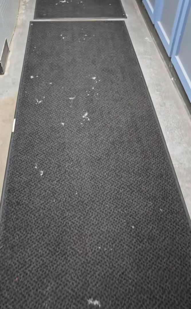 rugs in hallway