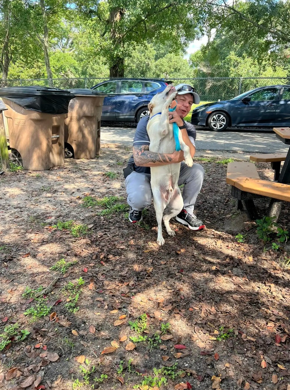 shelter dog finds an owner
