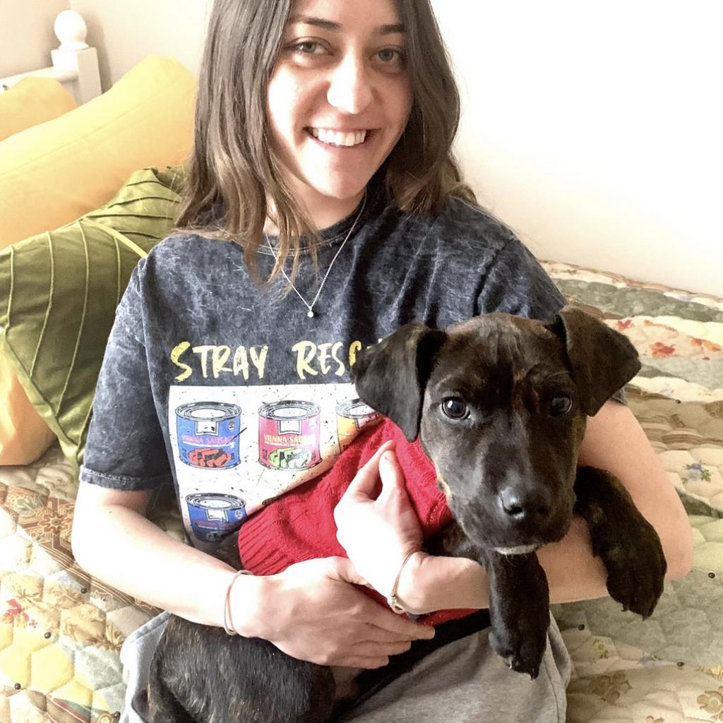 shelter dog with a loving foster