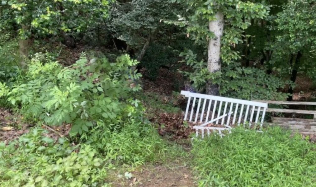 something hiding in the woods