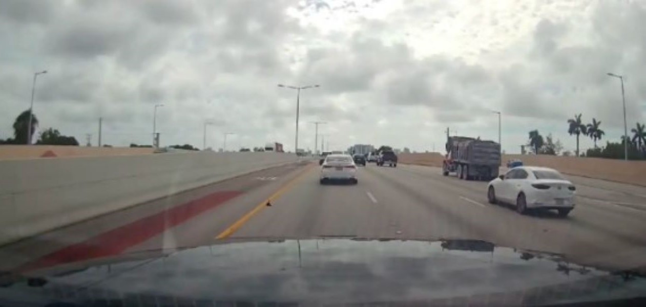 something tiny on highway 