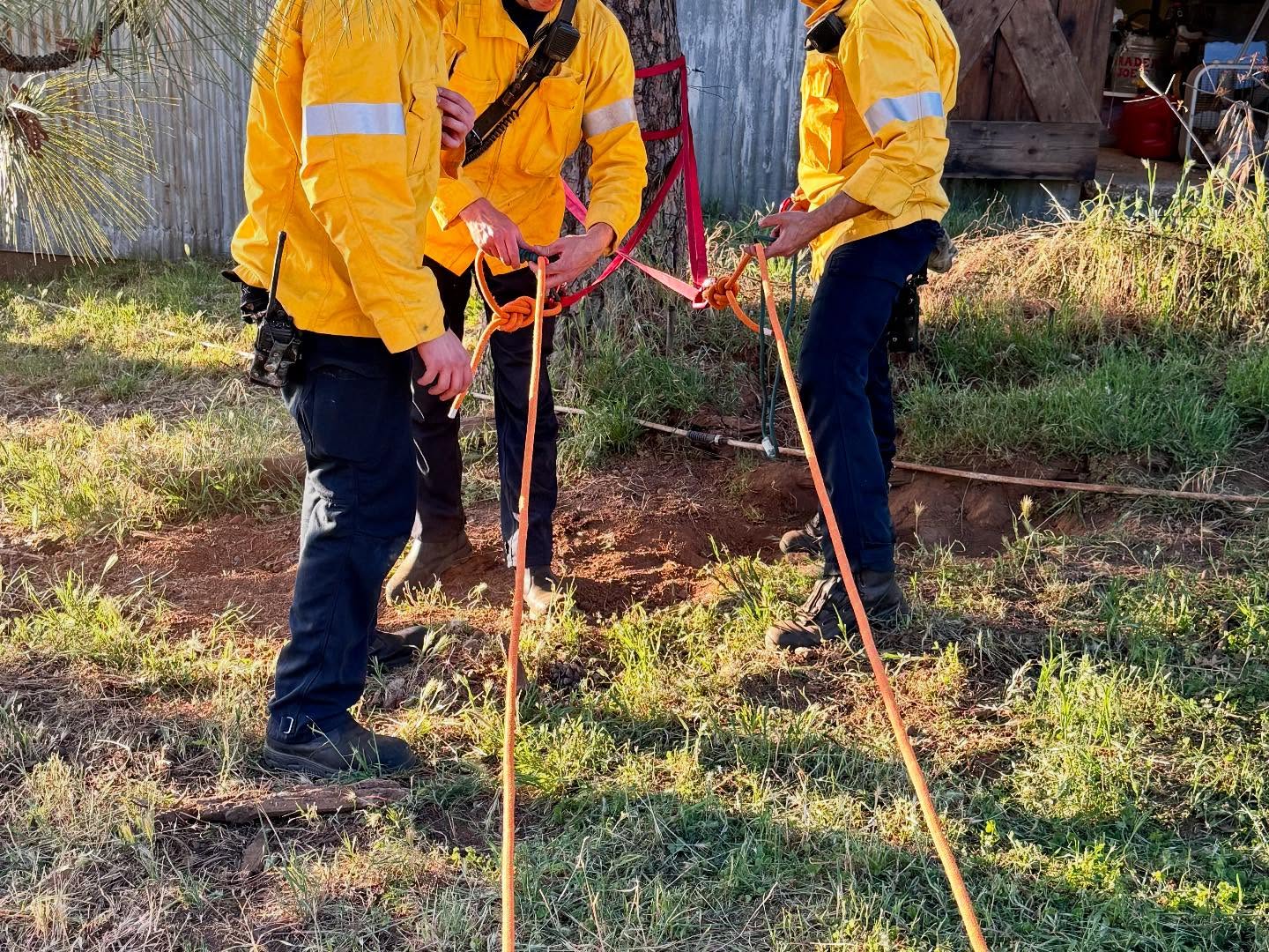 three firefighters