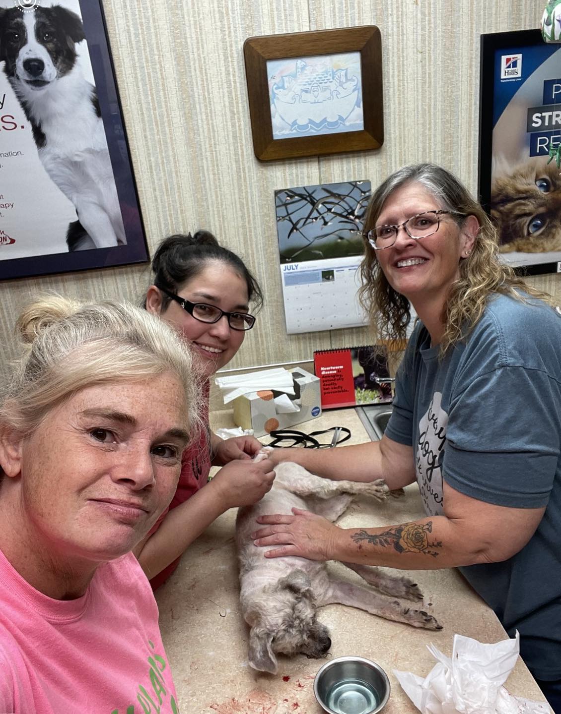 three women shaving a dog