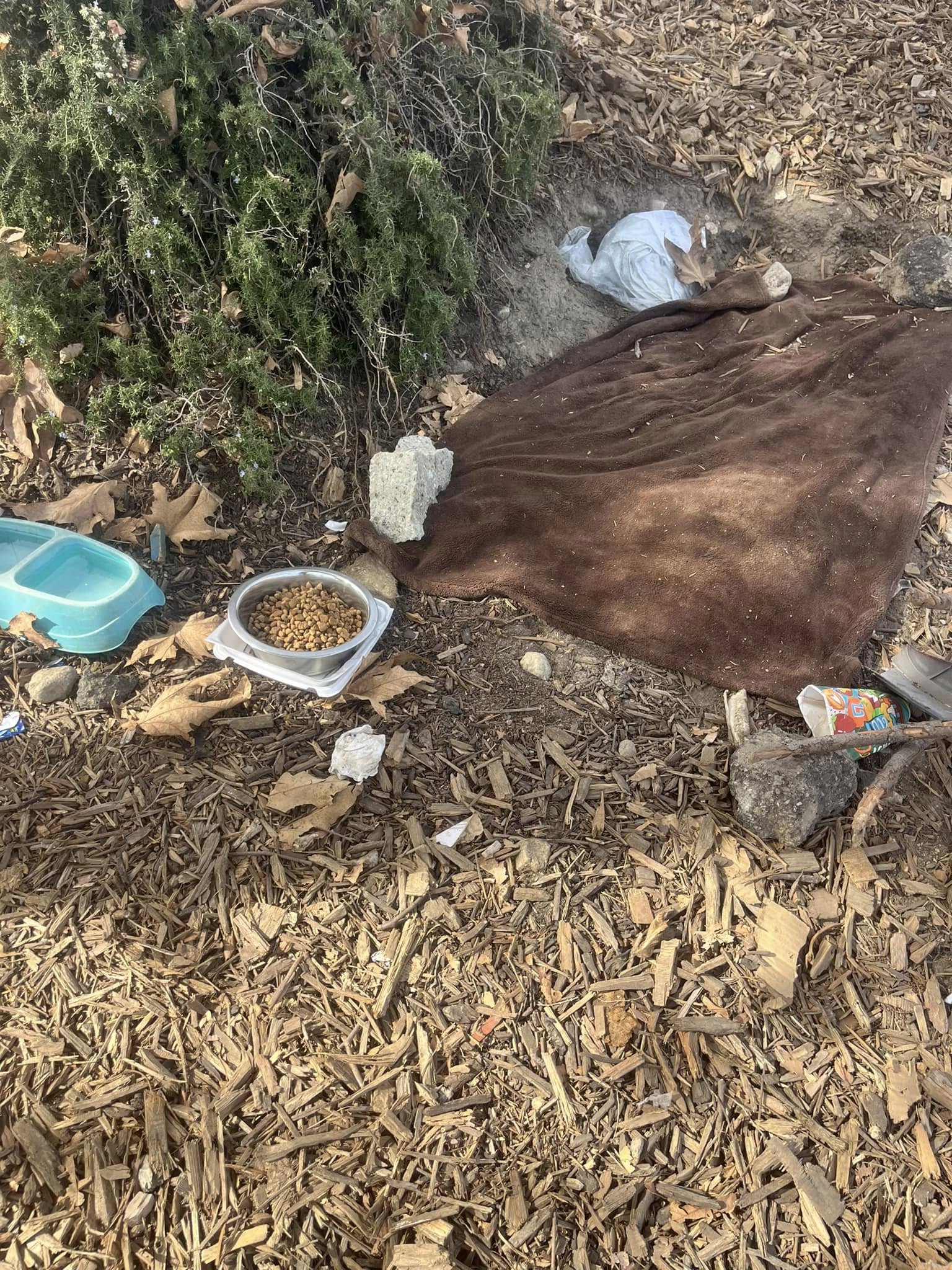 trash on ground