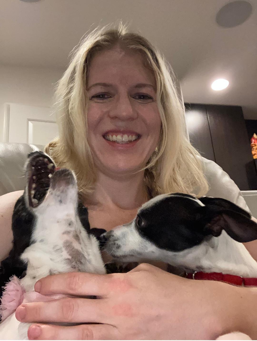 two rescue dogs reunited