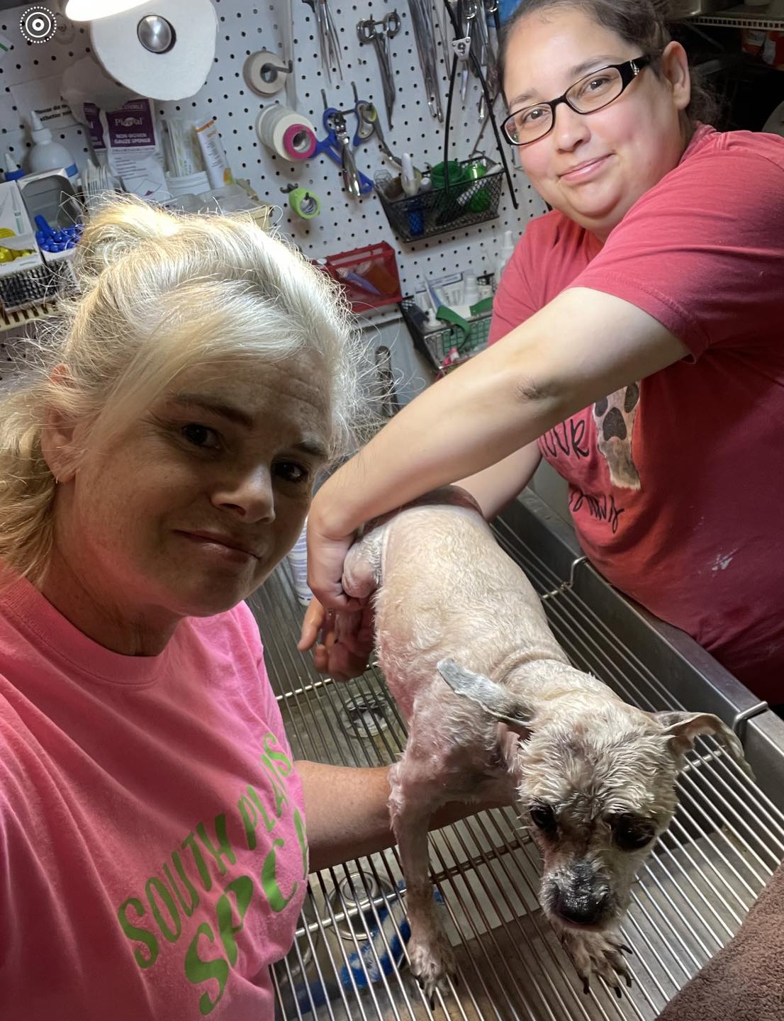 two women in pink and a dog