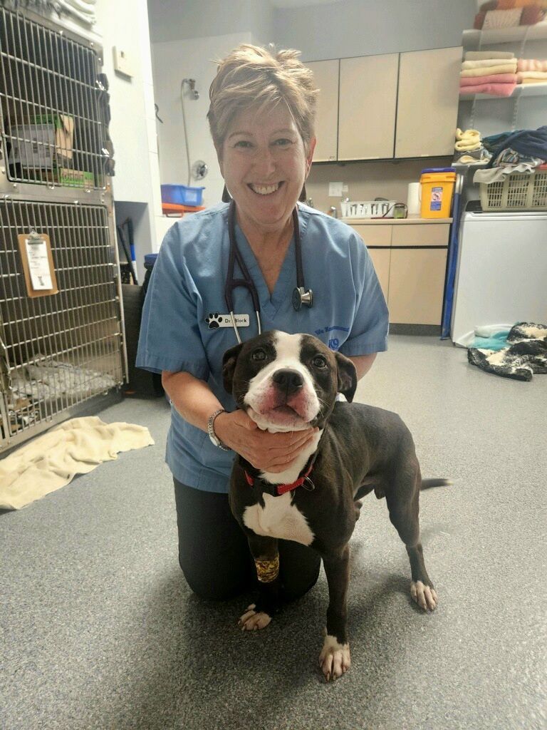 vet posing with a dog 