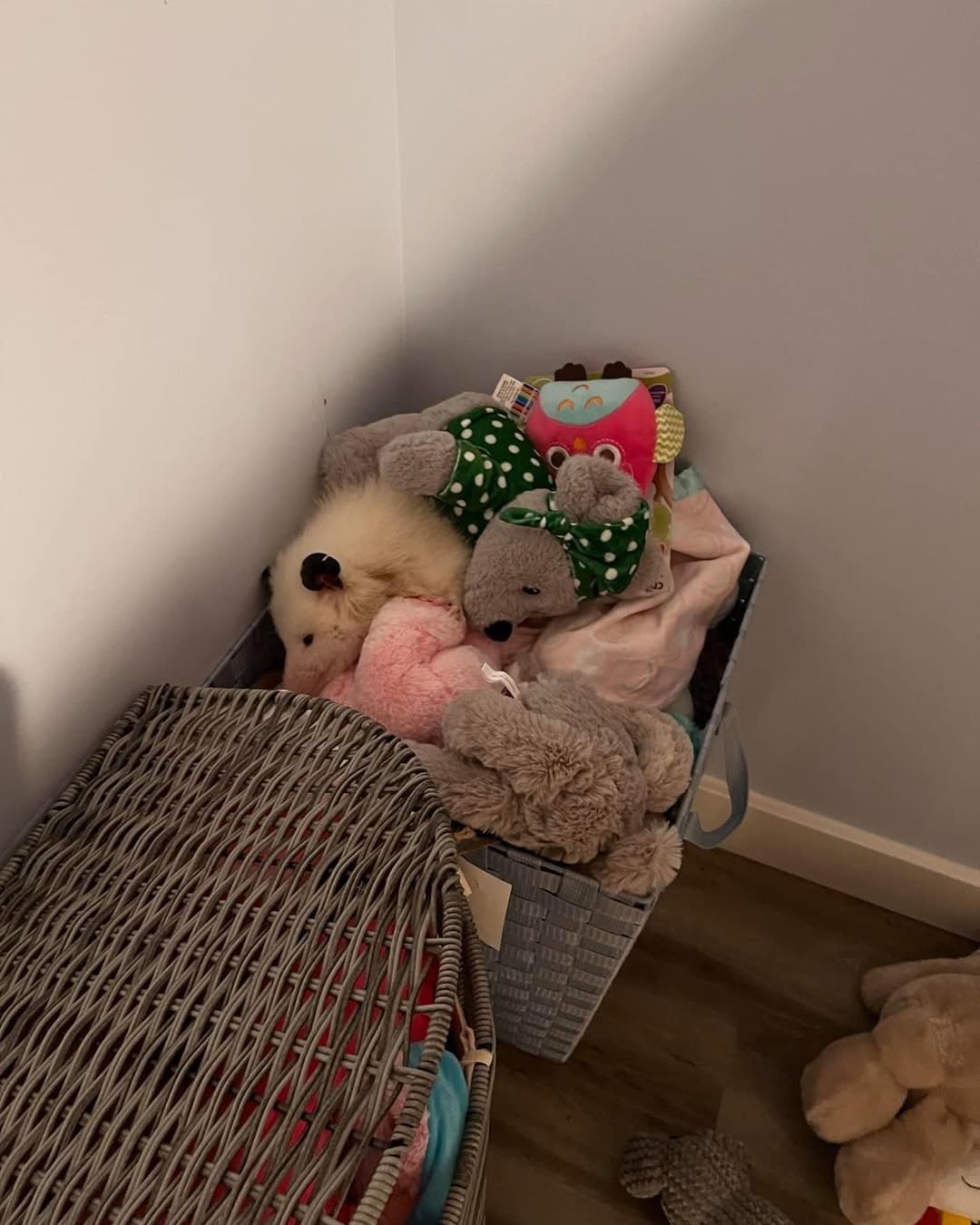 white opossum hiding in toys