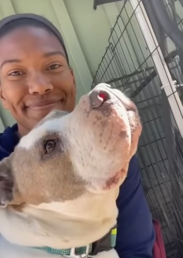 woman and cute dog