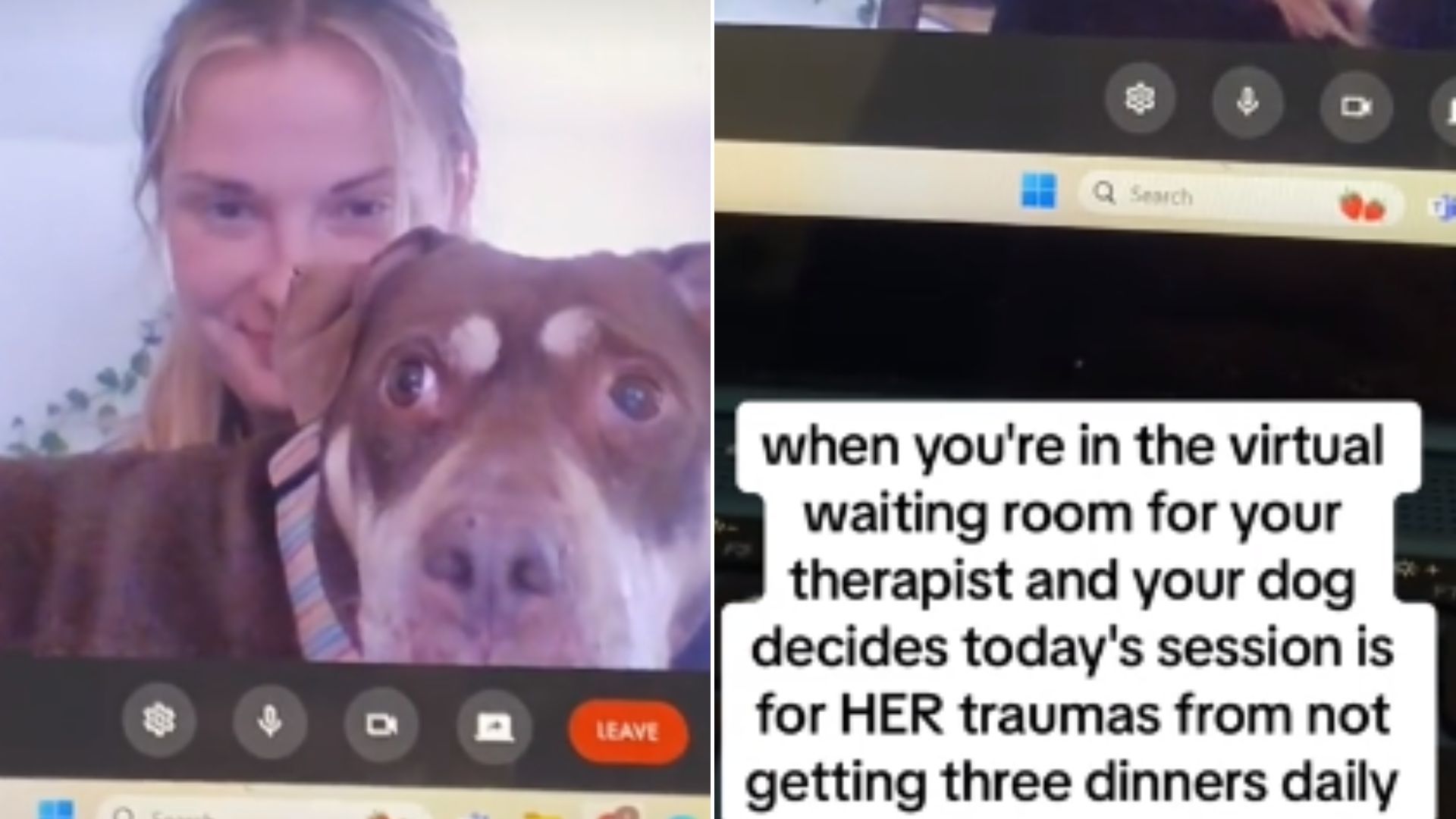 woman and dog in call