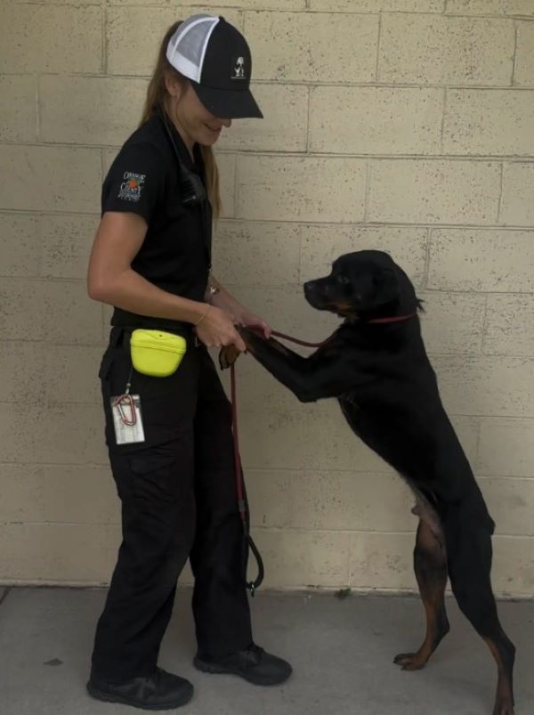 woman and frightened black dog