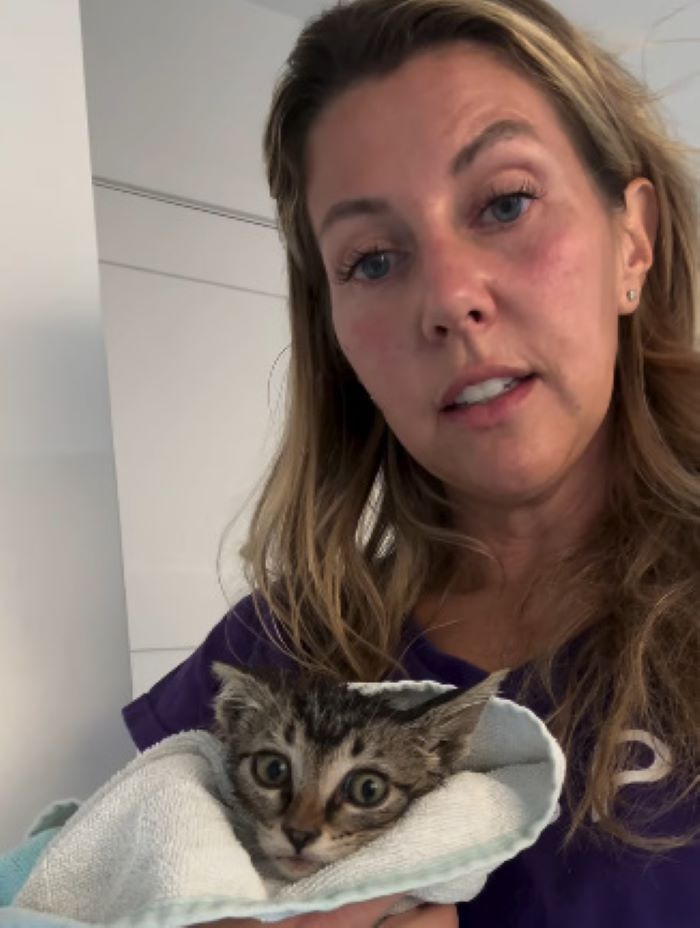 woman and gray kitten