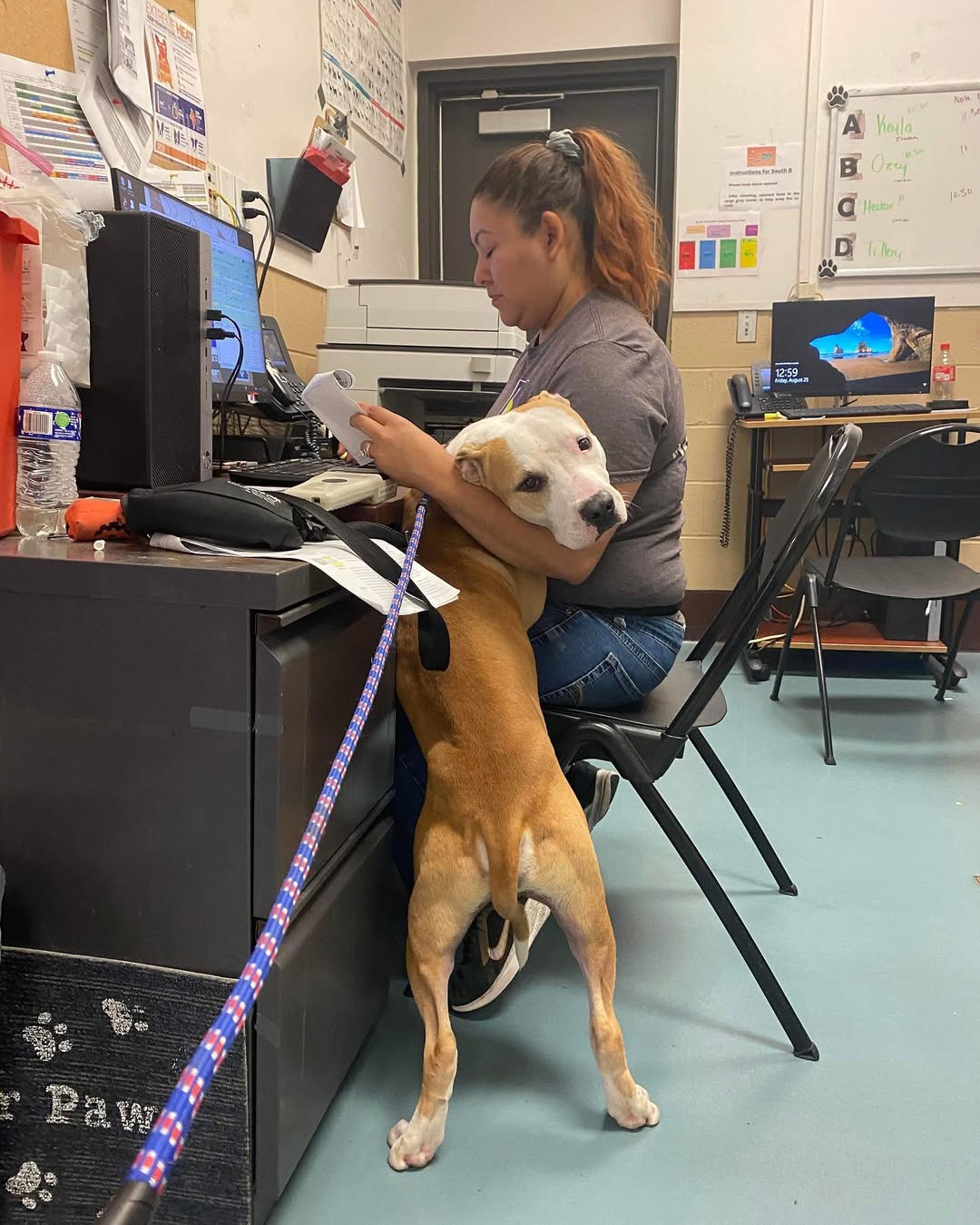 woman and her dog