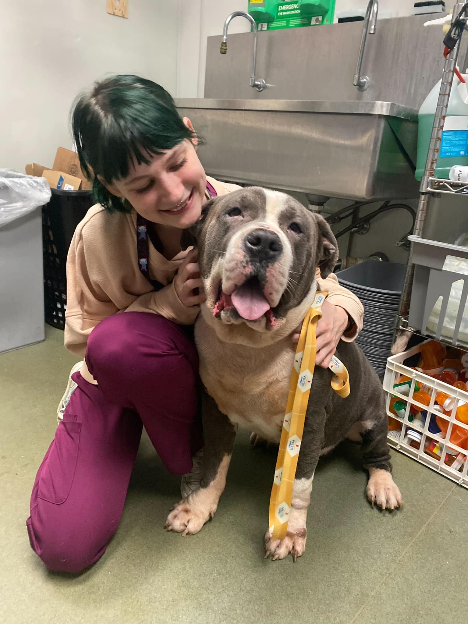 woman and senior dog