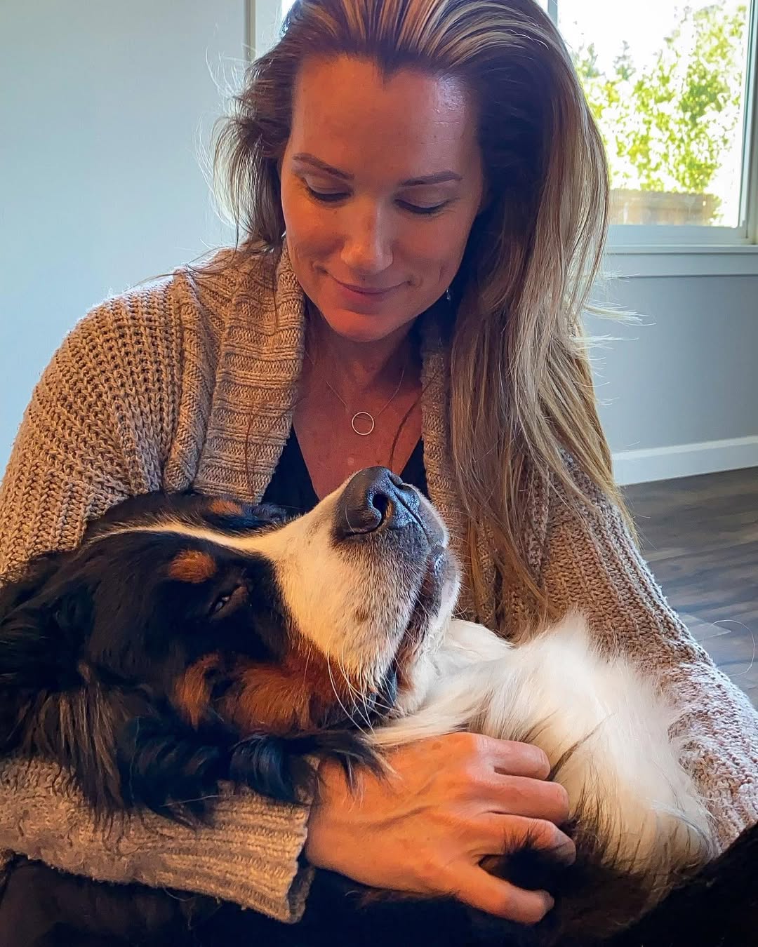 woman and sweet Bernese Mountain Dog
