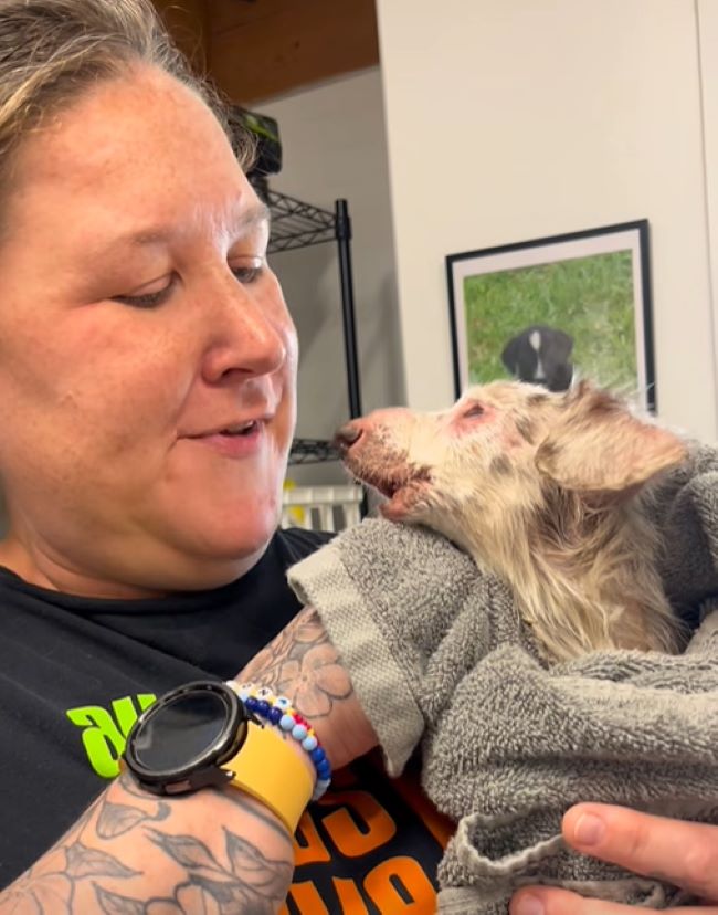 woman and tiny white dog