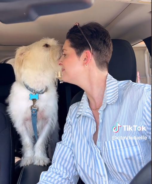 woman and white dog in car