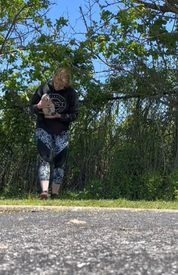 woman carrying little gosling 