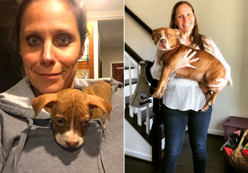 woman holding a Pit Bull