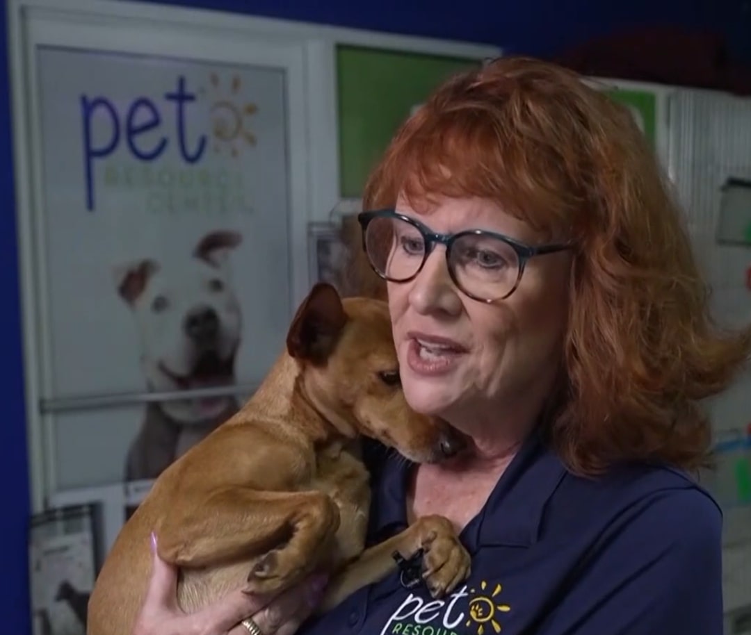 woman holding a brown dog